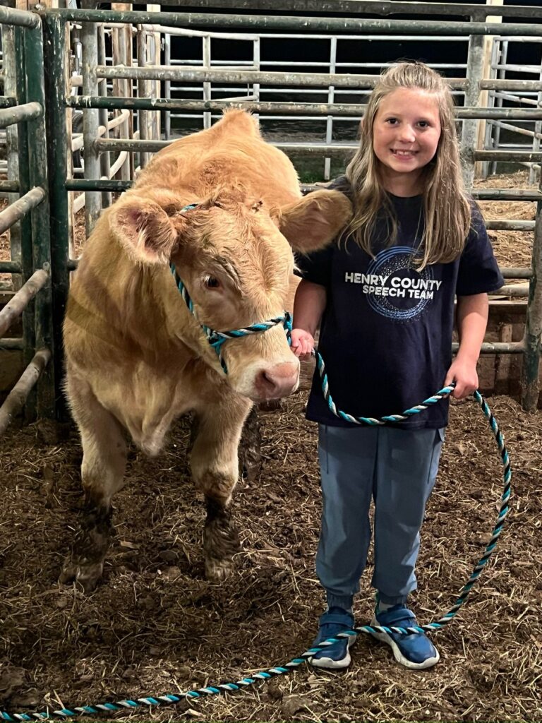 Poppy Mixon leading Mr. Moo-agi on a halter