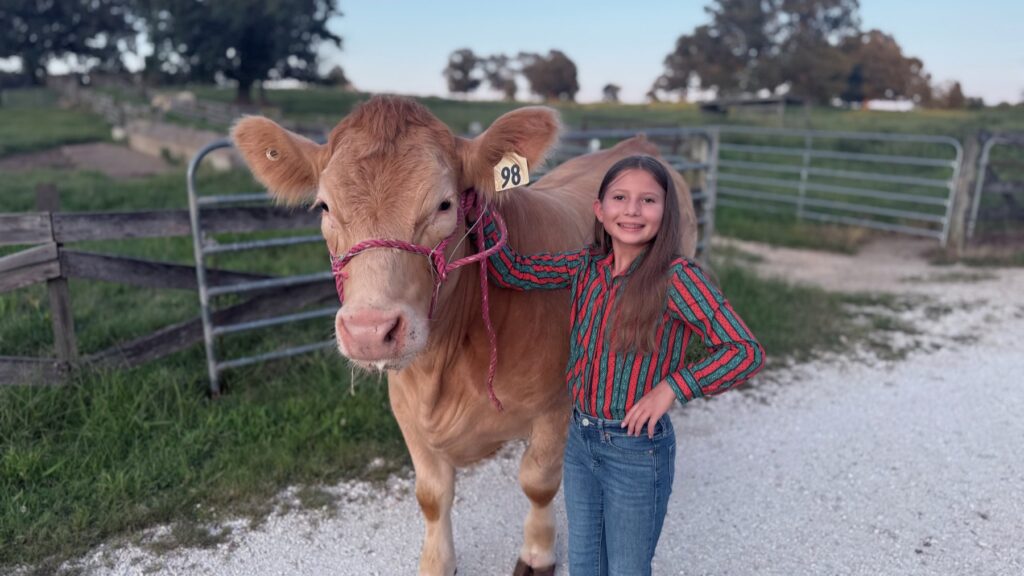 Poppy Mixon doing daily chores as part of her steer project