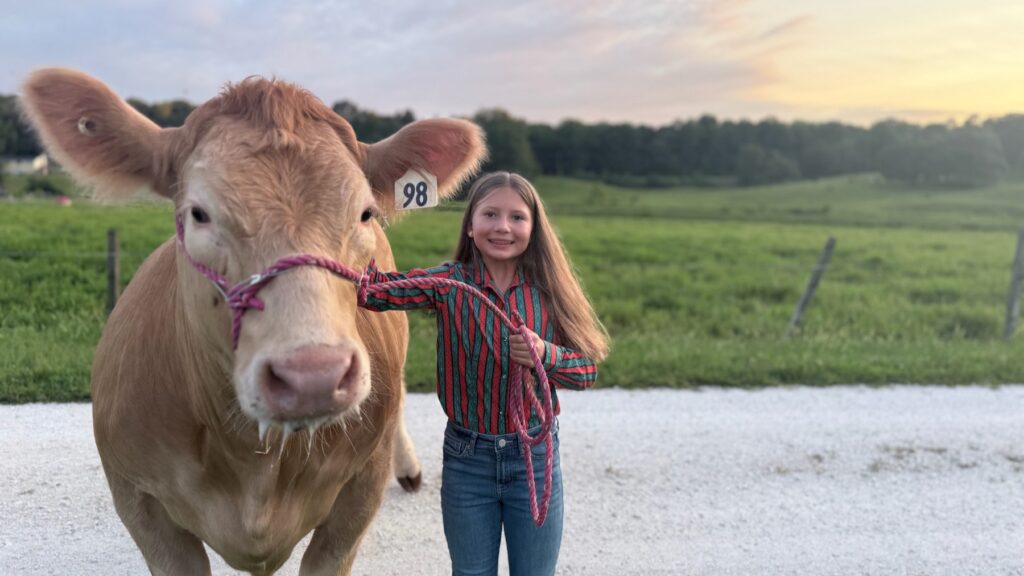Poppy Mixon grooming and washing Mr. Moo-agi