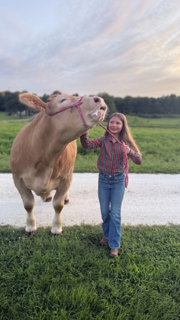 Poppy Mixon petting Mr. Moo-agi at golden hour