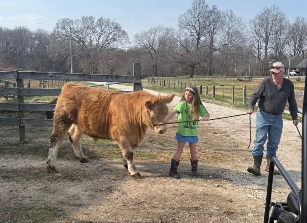 Poppy Mixon and Mr. Moo-agi on the farm