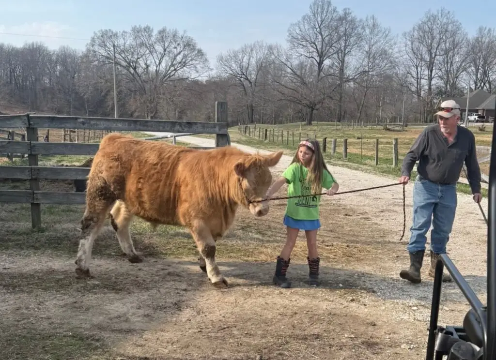 Poppy Mixon and Mr. Moo-agi on the farm