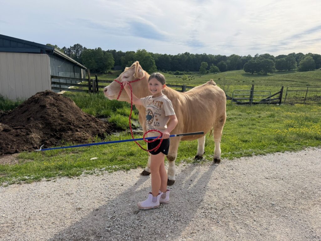 Poppy Mixon standing with Mr. Moo-agi in a pasture at sunset